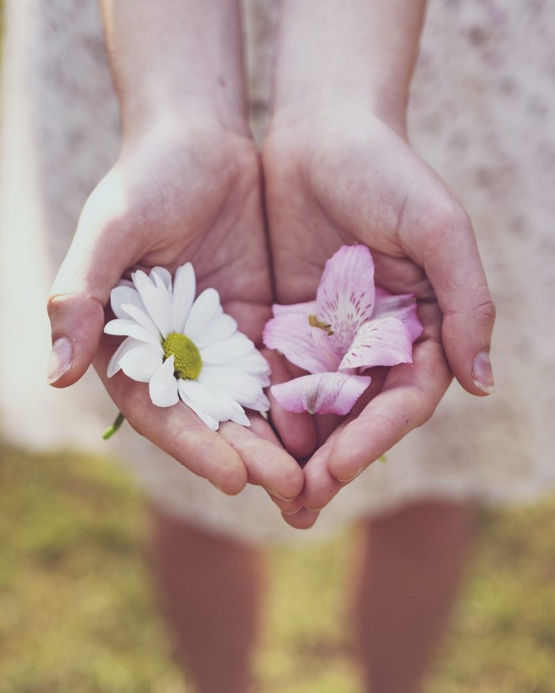sanctuary-giving3 sanctuary-giving3